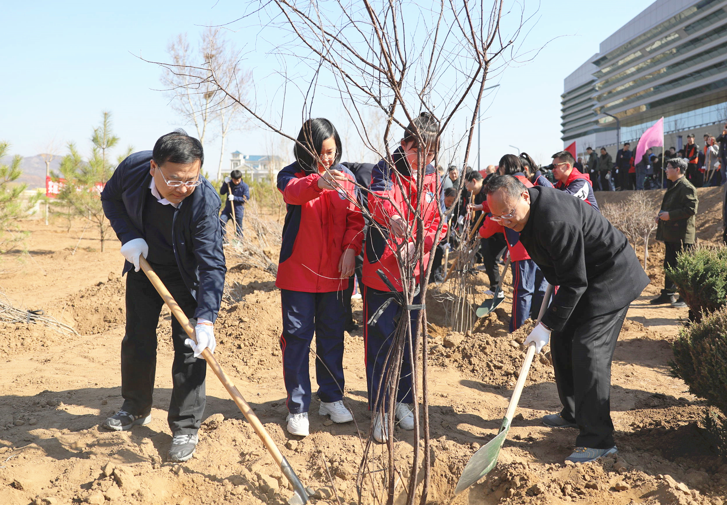 承德市2019年春季义务植树活动在双桥区双峰寺镇举行_ayx官方